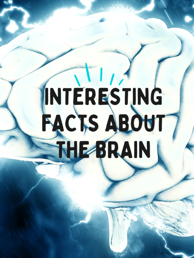 Facts about brain