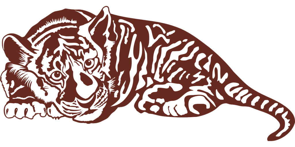 tiger, wildcat, sumatran tiger-152100.jpg